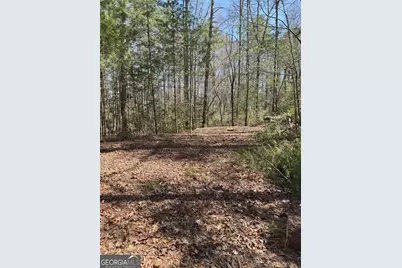 0 Bartox Drive, Ellijay, GA 30540 - Photo 29