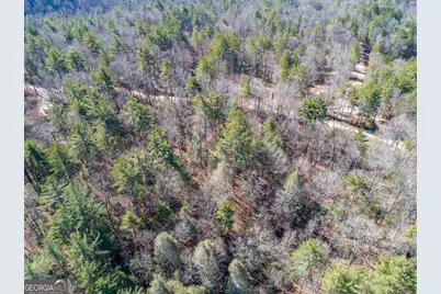 0 Bartox Drive, Ellijay, GA 30540 - Photo 21