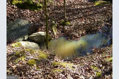 Lot 17 Blackberry Bend, Elberton, GA 30635 - Photo 7