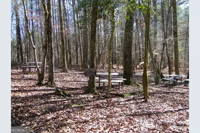 Lot 28 Benjamin Brown Court, Elberton, GA 30635 - Photo 11