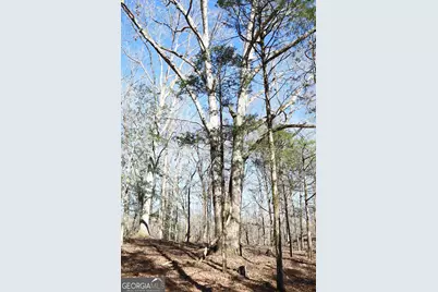 Lot 28 Benjamin Brown Court, Elberton, GA 30635 - Photo 7