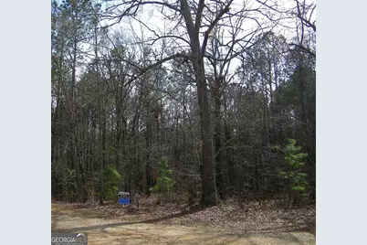 Lot 29 Benjamin Brown Court, Elberton, GA 30635 - Photo 1