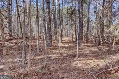 Lot 29 Benjamin Brown Court, Elberton, GA 30635 - Photo 5