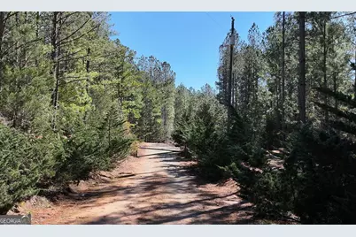 Lot 29 Benjamin Brown Court, Elberton, GA 30635 - Photo 11