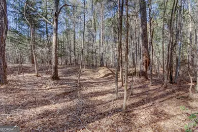 Lot 29 Benjamin Brown Court, Elberton, GA 30635 - Photo 7