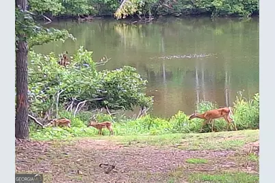 150 Crystal Ridge Drive, Milledgeville, GA 31061 - Photo 21