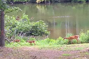 150 Crystal Ridge Dr, Milledgeville, GA 31061 - Photo 21