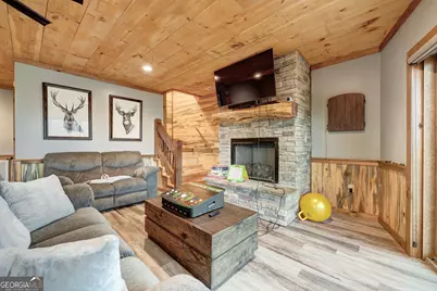 1601 Shady Falls Road, Blue Ridge, GA 30513 - Photo 59