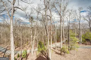 1601 Shady Falls Rd, Blue Ridge, GA 30513 - Photo 75