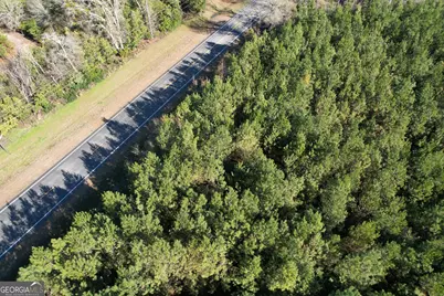 0 Burtons Ferry Highway, Sylvania, GA 30467 - Photo 7