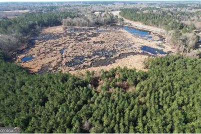 0 Burtons Ferry Highway, Sylvania, GA 30467 - Photo 3