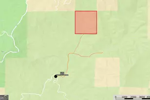 0 Peeples Lake Rd, Chatsworth, GA 30705 - Photo 37