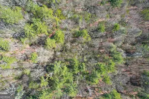 0 Peeples Lake Rd, Chatsworth, GA 30705 - Photo 29