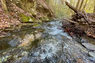 0 Peeples Lake Rd, Chatsworth, GA 30705 - Photo 11