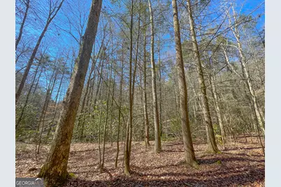 0 Peeples Lake Road, Chatsworth, GA 30705 - Photo 33