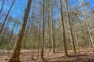 0 Peeples Lake Rd, Chatsworth, GA 30705 - Photo 33