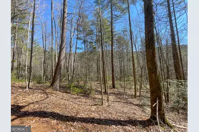 0 Peeples Lake Road, Chatsworth, GA 30705 - Photo 23