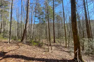 0 Peeples Lake Rd, Chatsworth, GA 30705 - Photo 23