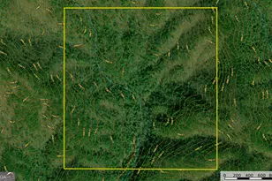 0 Peeples Lake Rd, Chatsworth, GA 30705 - Photo 35