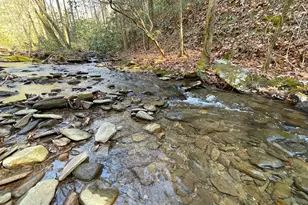 0 Peeples Lake Rd, Chatsworth, GA 30705 - Photo 7