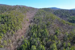 0 Peeples Lake Rd, Chatsworth, GA 30705 - Photo 21