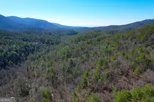 0 Peeples Lake Rd, Chatsworth, GA 30705 - Photo 31