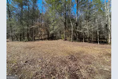 0 Peeples Lake Road, Chatsworth, GA 30705 - Photo 25