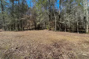 0 Peeples Lake Rd, Chatsworth, GA 30705 - Photo 25