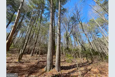 0 Peeples Lake Road, Chatsworth, GA 30705 - Photo 5