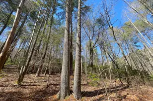 0 Peeples Lake Rd, Chatsworth, GA 30705 - Photo 5