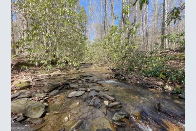 0 Peeples Lake Road, Chatsworth, GA 30705 - Photo 3