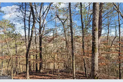 4431 Jim Hood Road, Gainesville, GA 30506 - Photo 25