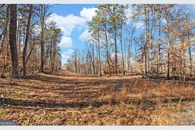 4431 Jim Hood Road, Gainesville, GA 30506 - Photo 15