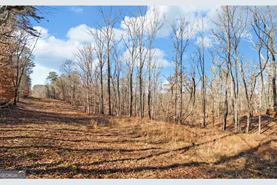4431 Jim Hood Road, Gainesville, GA 30506 - Photo 21