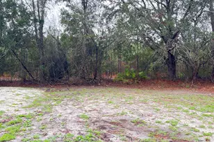 4720 Otter Creek Cir, Blackshear, GA 31516 - Photo 29