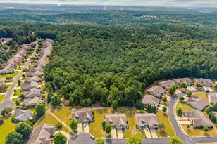 1211 Flat Rock St, Greensboro, GA 30642 - Photo 41