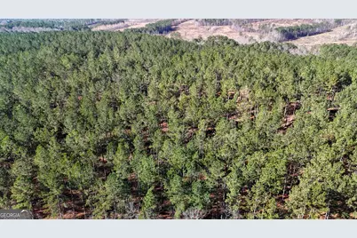 32 Acres On Bac Tract 14, Lyerly, GA 30730 - Photo 5