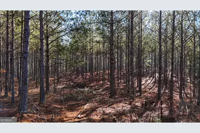 32 Acres On Bac Tract 14, Lyerly, GA 30730 - Photo 3