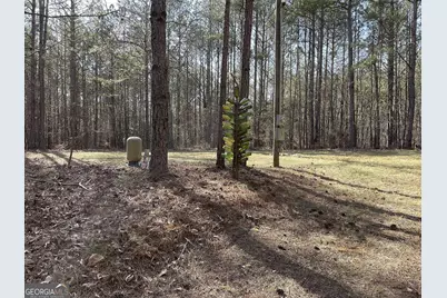 Lot 15 Blackberry Bend, Elberton, GA 30635 - Photo 5