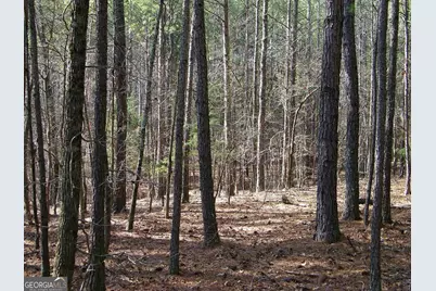Lot 15 Blackberry Bend, Elberton, GA 30635 - Photo 9