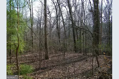 Lot 15 Blackberry Bend, Elberton, GA 30635 - Photo 11