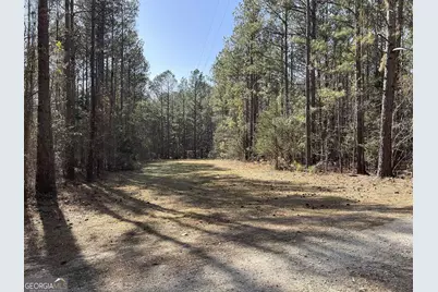 Lot 15 Blackberry Bend, Elberton, GA 30635 - Photo 3
