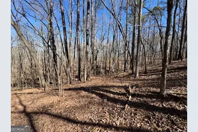 0 Brown Creek Road, Shiloh, GA 31826 - Photo 15