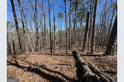 0 Brown Creek Road, Shiloh, GA 31826 - Photo 19