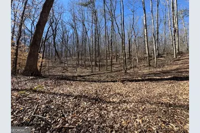 0 Brown Creek Road, Shiloh, GA 31826 - Photo 7