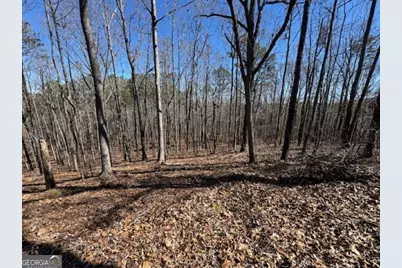 0 Brown Creek Road, Shiloh, GA 31826 - Photo 1