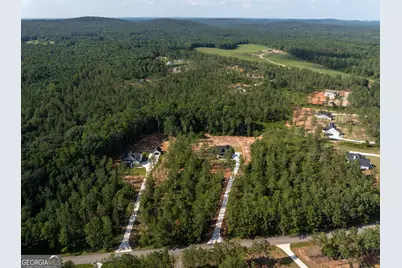 297 Bishop Road, Meansville, GA 30256 - Photo 65