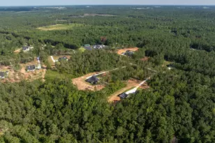 297 Bishop Rd, Meansville, GA 30256 - Photo 75