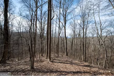 Lot 7R Mountain Falls Loop, Ellijay, GA 30540 - Photo 3