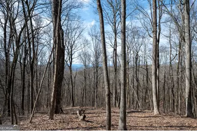 Lot 7R Mountain Falls Loop, Ellijay, GA 30540 - Photo 9